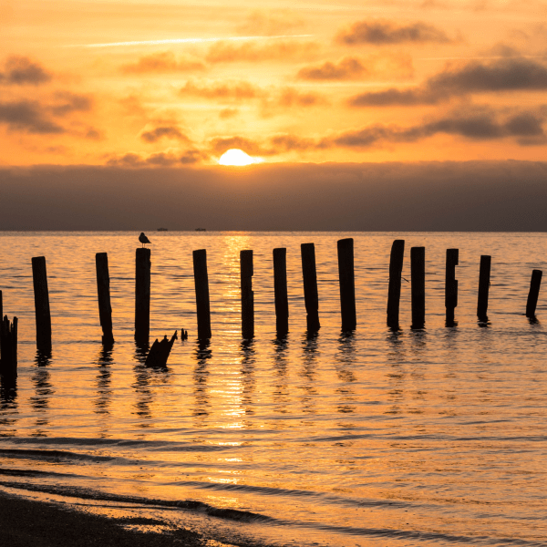 Bay Goals, Stormwater Realities: What Counties Need to Know